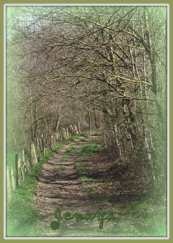 Un petit chemin de campagne...