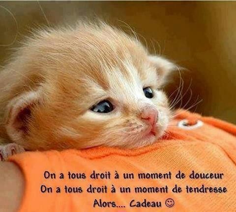 Moment tendre..