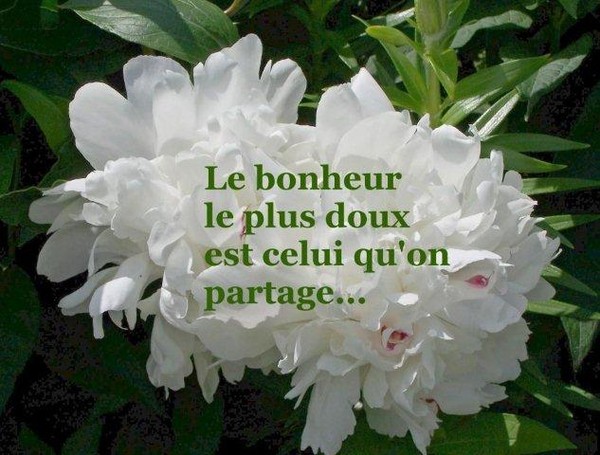 Le Bonheur...